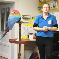 Papoušci ve školce v Nové Vsi