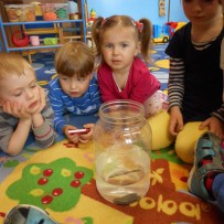 ŽIVÁ A NEŽIVÁ PŘÍRODA