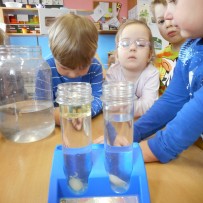 ŽIVÁ A NEŽIVÁ PŘÍRODA