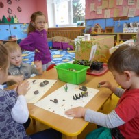 ŽIVÁ A NEŽIVÁ PŘÍRODA