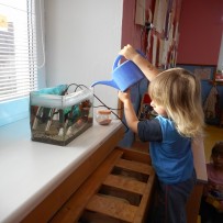 ŽIVÁ A NEŽIVÁ PŘÍRODA