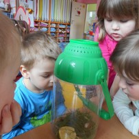 ŽIVÁ A NEŽIVÁ PŘÍRODA