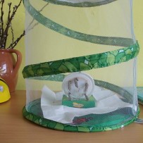 ŽIVÁ A NEŽIVÁ PŘÍRODA