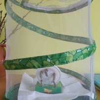 ŽIVÁ A NEŽIVÁ PŘÍRODA