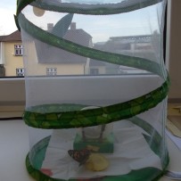 ŽIVÁ A NEŽIVÁ PŘÍRODA