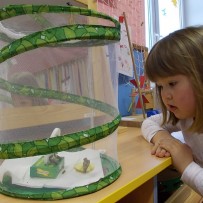 ŽIVÁ A NEŽIVÁ PŘÍRODA