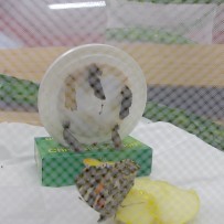 ŽIVÁ A NEŽIVÁ PŘÍRODA