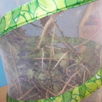 ŽIVÁ A NEŽIVÁ PŘÍRODA