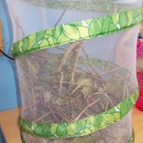 ŽIVÁ A NEŽIVÁ PŘÍRODA