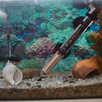 ŽIVÁ A NEŽIVÁ PŘÍRODA