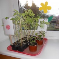 ŽIVÁ A NEŽIVÁ PŘÍRODA