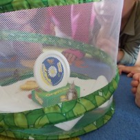 ŽIVÁ A NEŽIVÁ PŘÍRODA