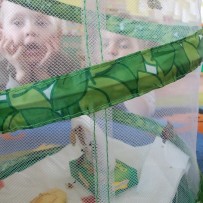 ŽIVÁ A NEŽIVÁ PŘÍRODA