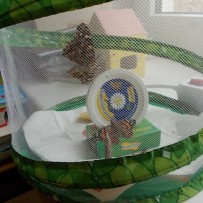 ŽIVÁ A NEŽIVÁ PŘÍRODA