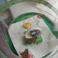 ŽIVÁ A NEŽIVÁ PŘÍRODA