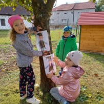 Podzimní příroda v Nové Vsi
