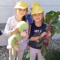 Ovoce a zelenina v obchodě v Kunčině - Včeličky