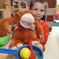 Ovoce a zelenina v obchodě v Kunčině - Včeličky