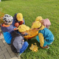 Ovoce a zelenina v obchodě v Kunčině - Včeličky