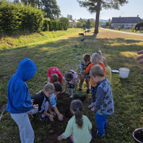 Památeční lípa ze soutěže Vesnice roku 2025