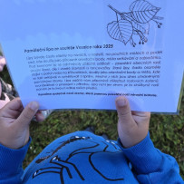 Památeční lípa ze soutěže Vesnice roku 2025