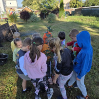 Památeční lípa ze soutěže Vesnice roku 2025