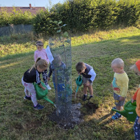 Památeční lípa ze soutěže Vesnice roku 2025