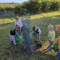 Památeční lípa ze soutěže Vesnice roku 2025